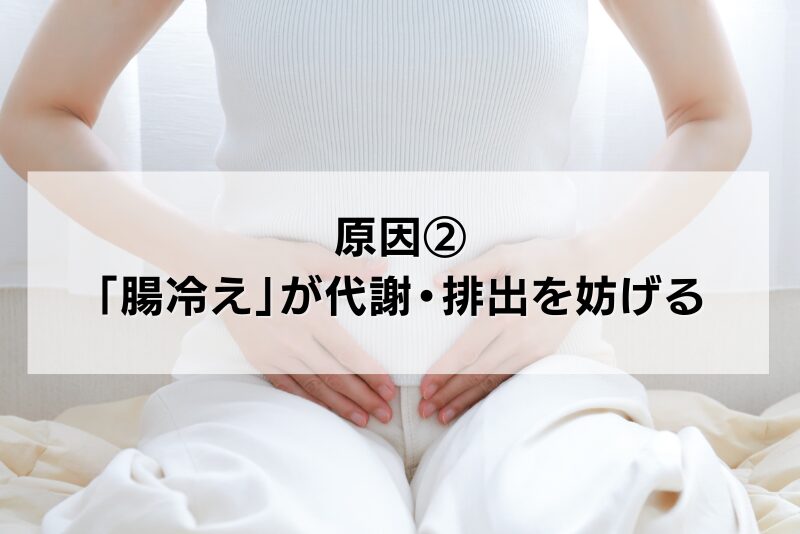 原因②「腸冷え」が代謝・排出を妨げる
