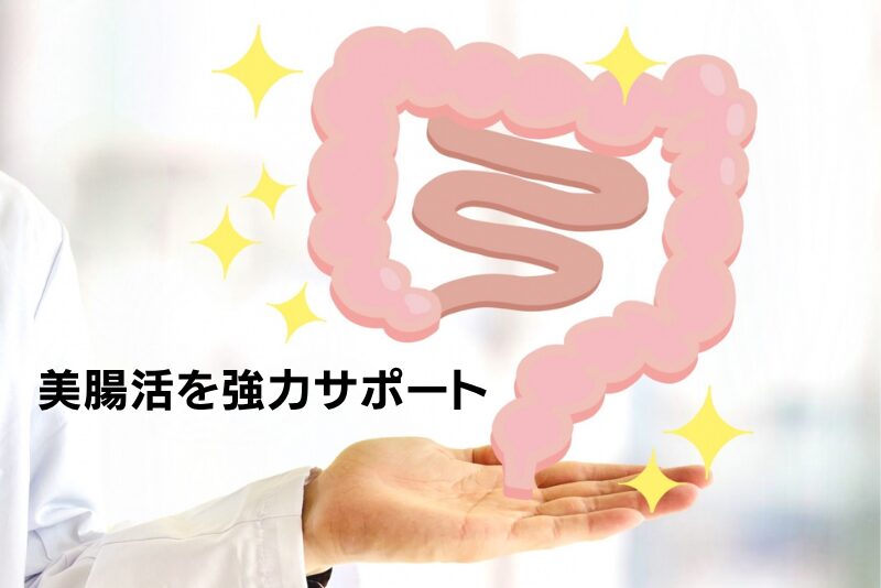 腸のぜん動運動活性化（美腸活）