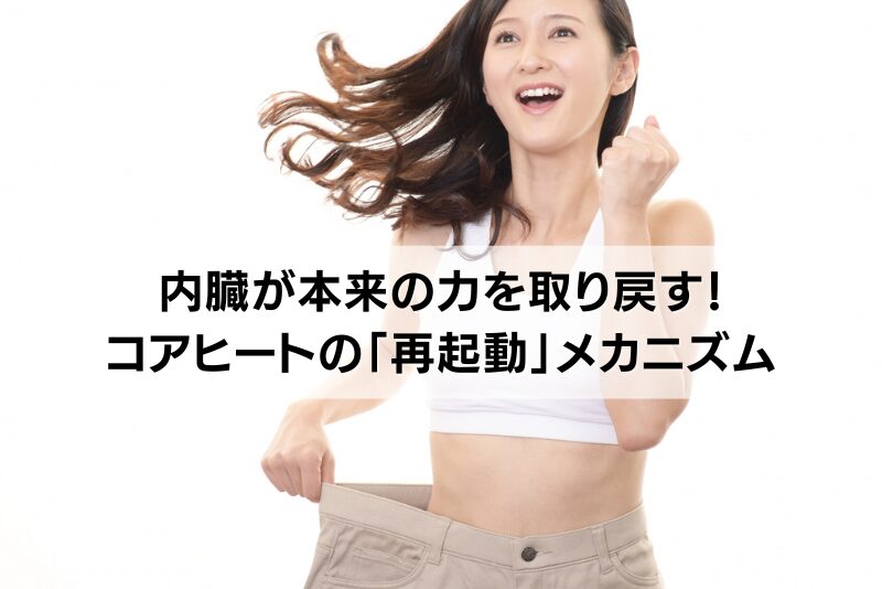 内臓が本来の力を取り戻す！コアヒートの「再起動」メカニズム